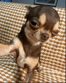 2 H SABLE 1/2 130MM SB